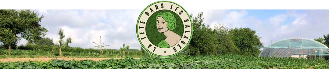 Bandeau la t&ecirc;te dans les salades